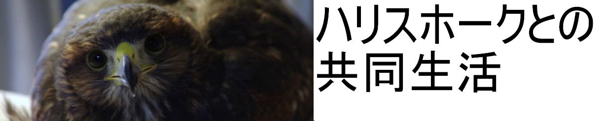 �n���X�z�[�N�Ƃ̋�������